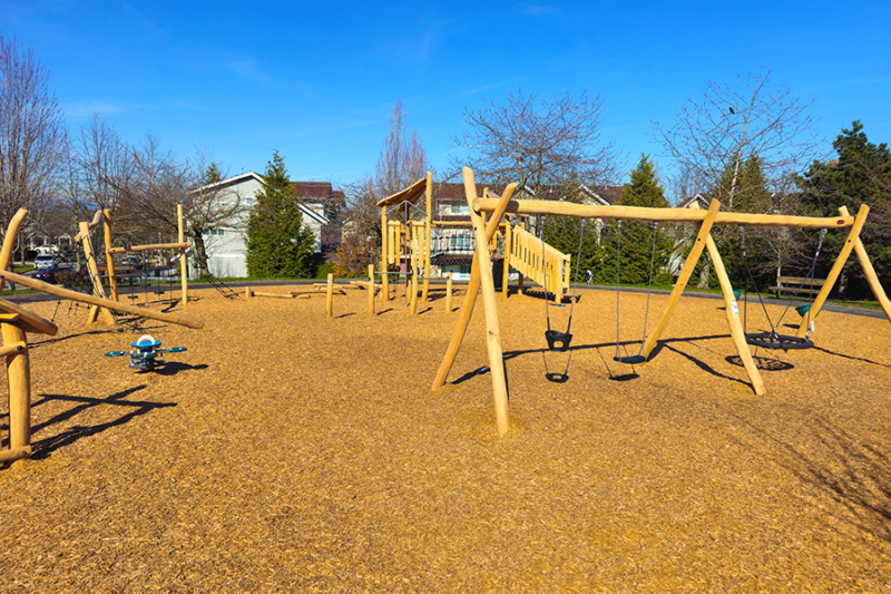 Odlinwood Park, Richmond, BC - Robinia Playground - PIC 4