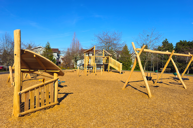 Odlinwood Park, Richmond, BC - Robinia Playground - PIC 5